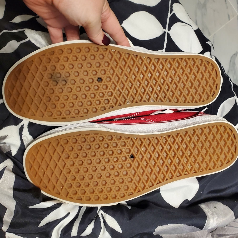 Louis Vuitton Vans